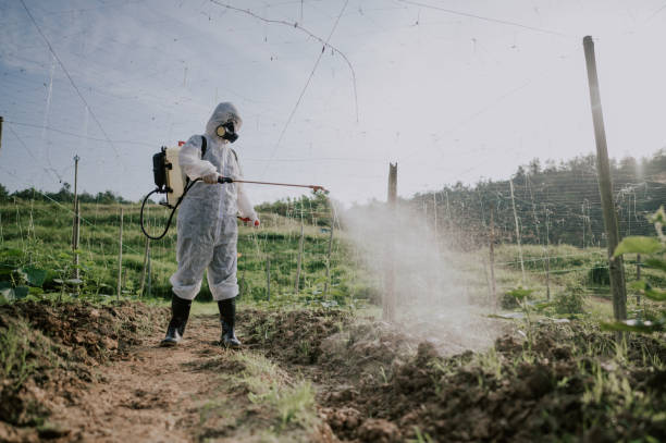 Best Mosquito Control Services  in Pearson, GA