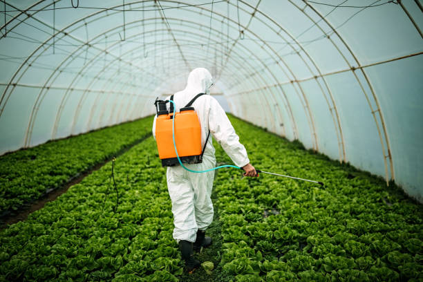 Best Commercial Pest Control Services  in Pearson, GA