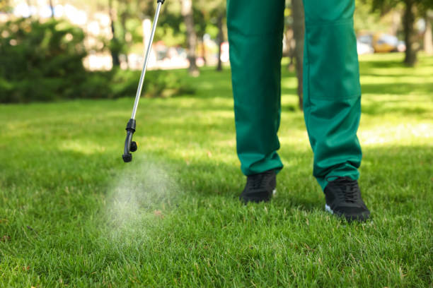Best Pest Prevention Services  in Pearson, GA