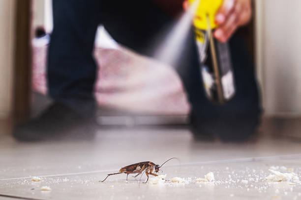 Pest Control Cost in Pearson, GA